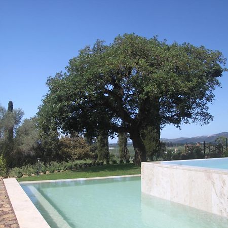 Agriturismo Il Broletto 苏韦雷托 外观 照片