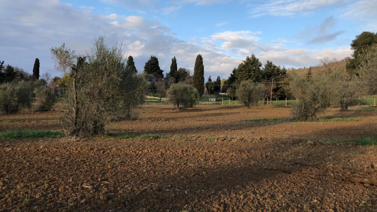 Agriturismo Il Broletto 苏韦雷托 外观 照片